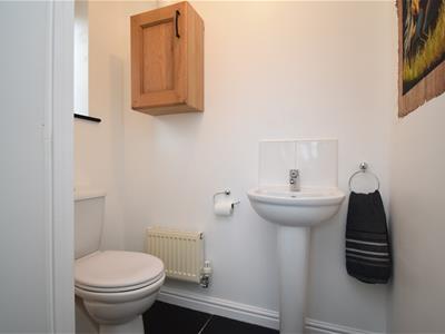 Picture 11